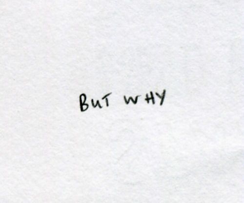 "but why?" meme